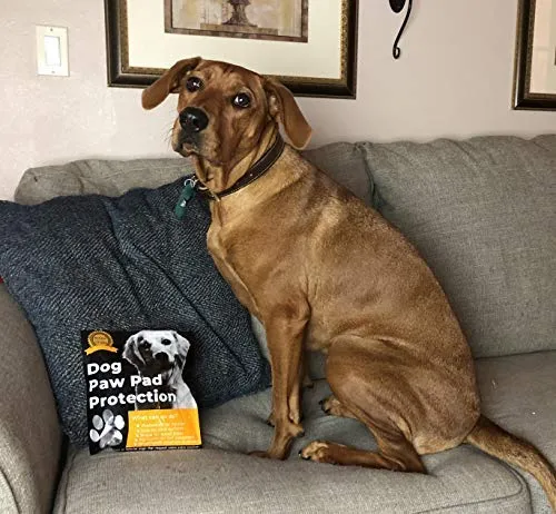 LOOBANI PadGrips- Almohadillas protectoras para perro, para evitar que los perros se resbalen en suelos duros, ayuda para tu perro mayor, 12 juegos para 4 patas