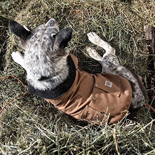 Carhartt Chore - Chaleco impermeable de algodón para perro, diseño de pato