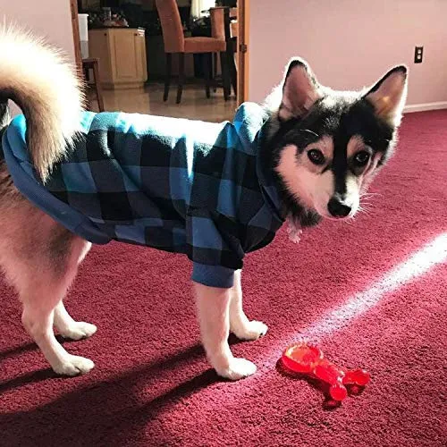 KOOLTAIL suéteres con capucha para perro, con sombrero