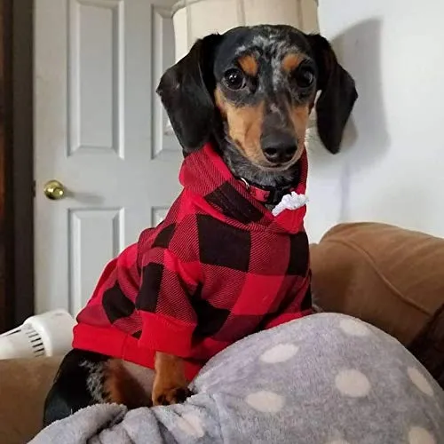 KOOLTAIL suéteres con capucha para perro, con sombrero