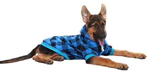 KOOLTAIL suéteres con capucha para perro, con sombrero