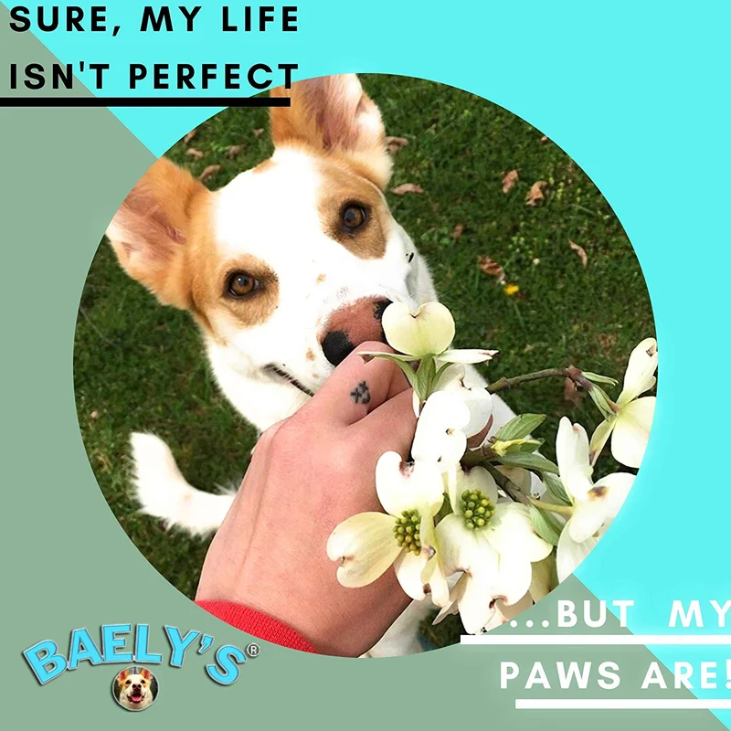 Cera para protección de bálsamo de patas de perro, el protector original fabricado en Estados Unidos, tamaño grande de 4 onzas, alivio para patas crudas o ásperas, protector de patas para almizcle, alivio secreto totalmente natural para patas calientes y
