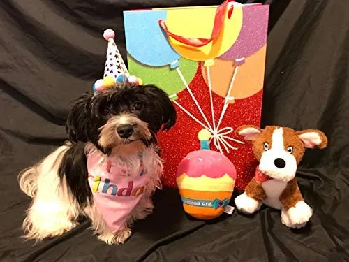 PUPTECK Dog Birthday Bandana Scarfs with Cute Doggie Birthday Party Hat