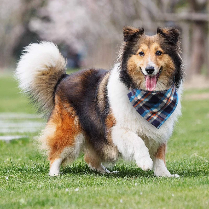 VIPITH Paquete de 8 pañuelos triangulares para perro, reversibles, a cuadros, para pintura, bufanda, lavable y ajustable, juego de pañuelos para perros, gatos, mascotas