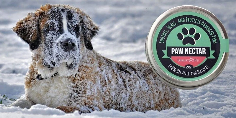 Cera para patas de perro, 100 % orgánica y natural, cura y repara patas heridas