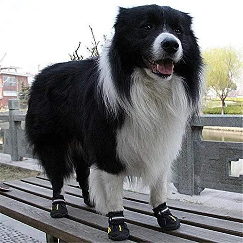 QUMY - Botas impermeables para perros grandes, con velcro reflectante, suela antideslizante, color negro, 4 unidades