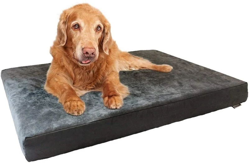 Dogbed4less Cama para perro de espuma viscoelástica, ortopédica, funda impermeable interna y 2 fundas exteriores lavables, varios tamaños, colores