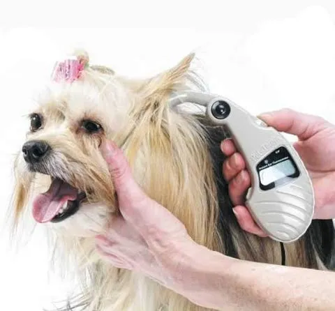 pet-temp Termómetro de oído por monitores de avanzada