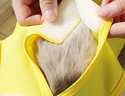 Knhunupl - Traje de recuperación profesional para heridas abdominales o enfermedades de la piel, después del uso quirúrgico, pijama traje, E-collar alternativa para gatos y perros