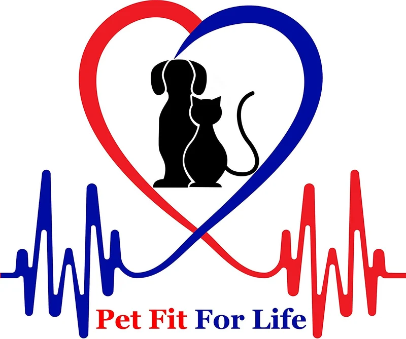 Pet Fit para la vida 3 Soft Strands con plumas Teaser Varita Y Exerciser para gato y kitten – Cat Juguete interactivo
