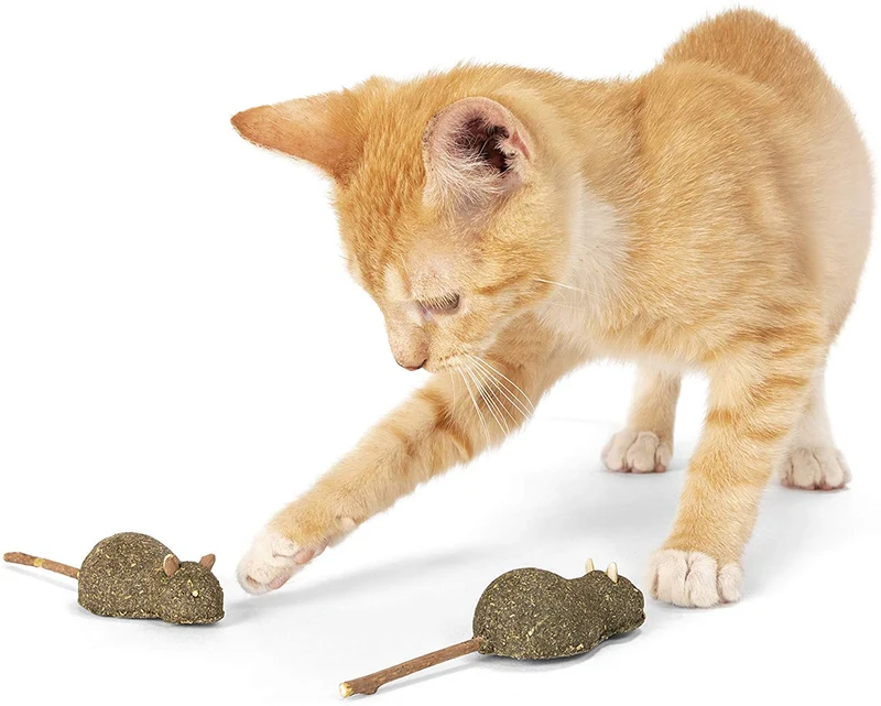 Varillas de cocinero de plata orgánica, para gatos y gatitos, 100 %, plata natural (2 unidades), cosecha silvestre sin aditivos ni conservantes