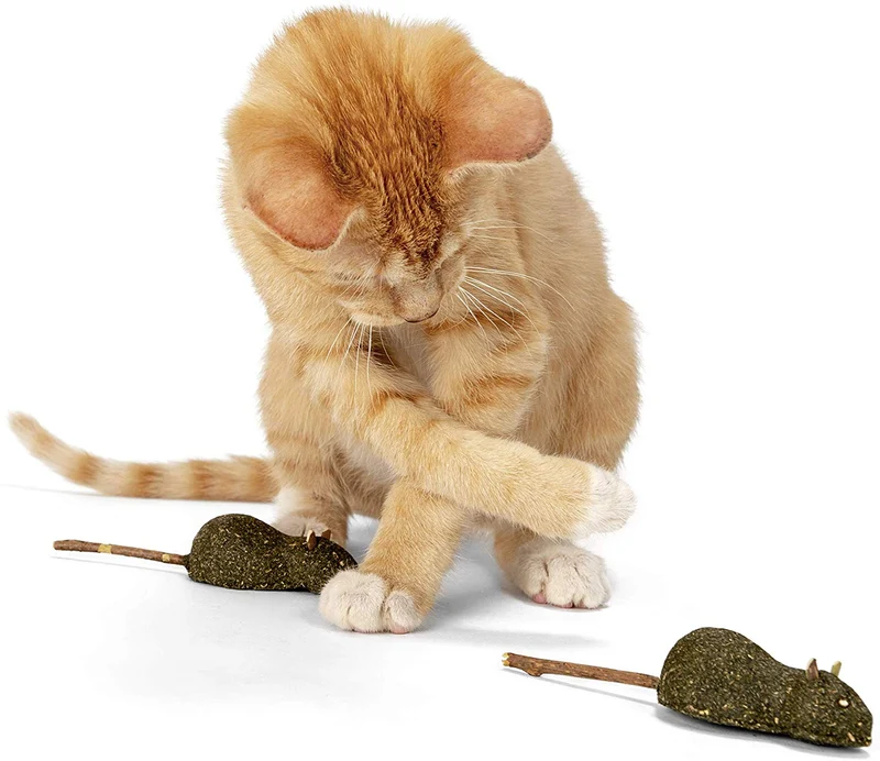 Varillas de cocinero de plata orgánica, para gatos y gatitos, 100 %, plata natural (2 unidades), cosecha silvestre sin aditivos ni conservantes