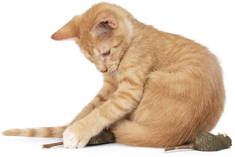 Varillas de cocinero de plata orgánica, para gatos y gatitos, 100 %, plata natural (2 unidades), cosecha silvestre sin aditivos ni conservantes
