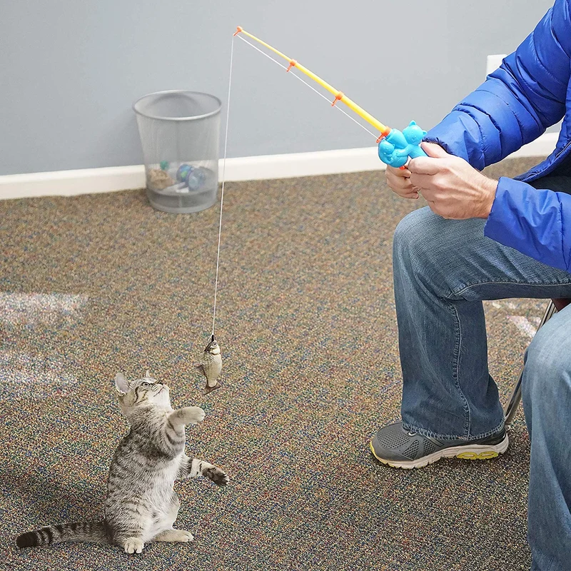 CAT caña de pescar. Juguete interactivo para gatos y gatitos, perfecto para gatos o pescadores, regalo divertido y feliz, diseño de gato
