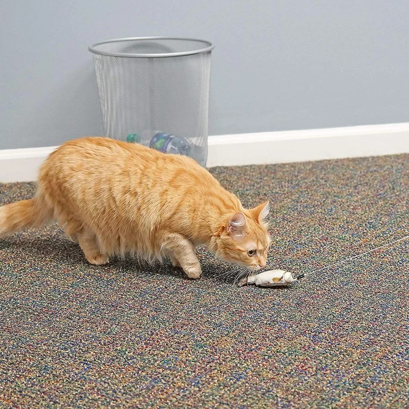 CAT caña de pescar. Juguete interactivo para gatos y gatitos, perfecto para gatos o pescadores, regalo divertido y feliz, diseño de gato
