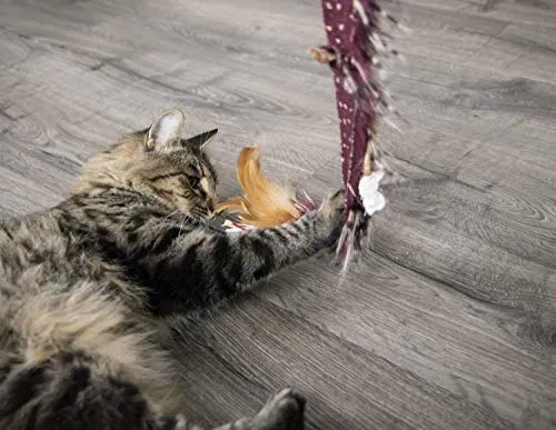 Petlinks Interactive Wand and Launcher Cat Toys