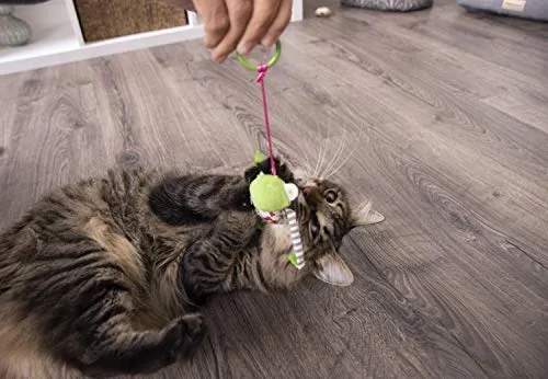 Petlinks Interactive Wand and Launcher Cat Toys