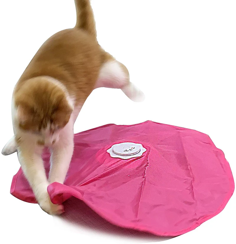 Blackhole Catch The Tail - Juguete para gato