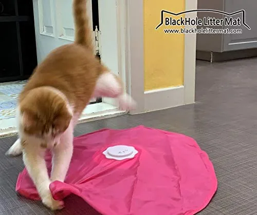Blackhole Catch The Tail - Juguete para gato