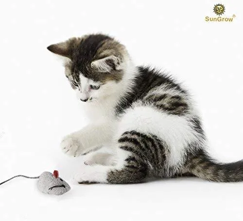 2 juguetes para gatos – Rattling Sound Thrills, promueve la agilidad, la coordinación – aumenta la caza natural, apuntar instinto – interactivo, duradero, seguro para masticar – divertido para horas