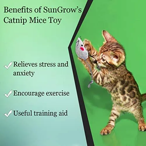 2 juguetes para gatos – Rattling Sound Thrills, promueve la agilidad, la coordinación – aumenta la caza natural, apuntar instinto – interactivo, duradero, seguro para masticar – divertido para horas