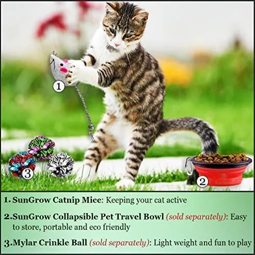2 juguetes para gatos – Rattling Sound Thrills, promueve la agilidad, la coordinación – aumenta la caza natural, apuntar instinto – interactivo, duradero, seguro para masticar – divertido para horas