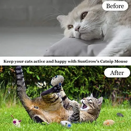 2 juguetes para gatos – Rattling Sound Thrills, promueve la agilidad, la coordinación – aumenta la caza natural, apuntar instinto – interactivo, duradero, seguro para masticar – divertido para horas