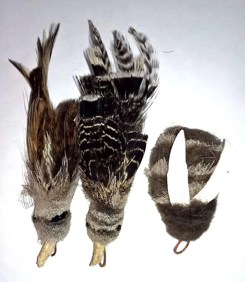 Divertido pájaro/Bate/BUGS Recambio/attachment- se adapta a Wildcat, da pájaro y Cat Catcher postes y varitas