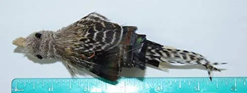 Divertido pájaro/Bate/BUGS Recambio/attachment- se adapta a Wildcat, da pájaro y Cat Catcher postes y varitas