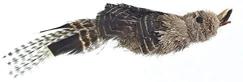 Divertido pájaro/Bate/BUGS Recambio/attachment- se adapta a Wildcat, da pájaro y Cat Catcher postes y varitas