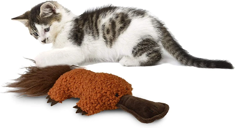 Nuestras mascotas 1400013857 OPB snagable Platypus gato Kicker, color café