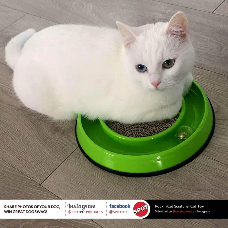 Ética mascotas Rockin 'rascador Cat Toy, 10"