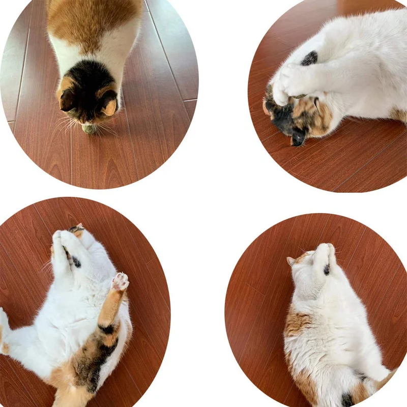 pethouzz comprimido Catnip, Cat Natural Catnip pelota Kitty Chew Toy (3 unidades)