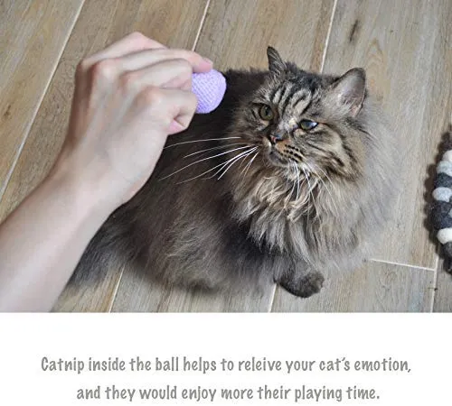 Pelota para gatos, con sonajero y ratón
