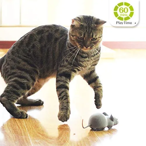 Ito Rocky Cat Juguetes interactivos de persecución – Juguete de perseguidor de plumas – Juguete giratorio – Ratón de control remoto – Juguete de cuerda de vuelo