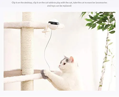 Ito Rocky Cat Juguetes interactivos de persecución – Juguete de perseguidor de plumas – Juguete giratorio – Ratón de control remoto – Juguete de cuerda de vuelo