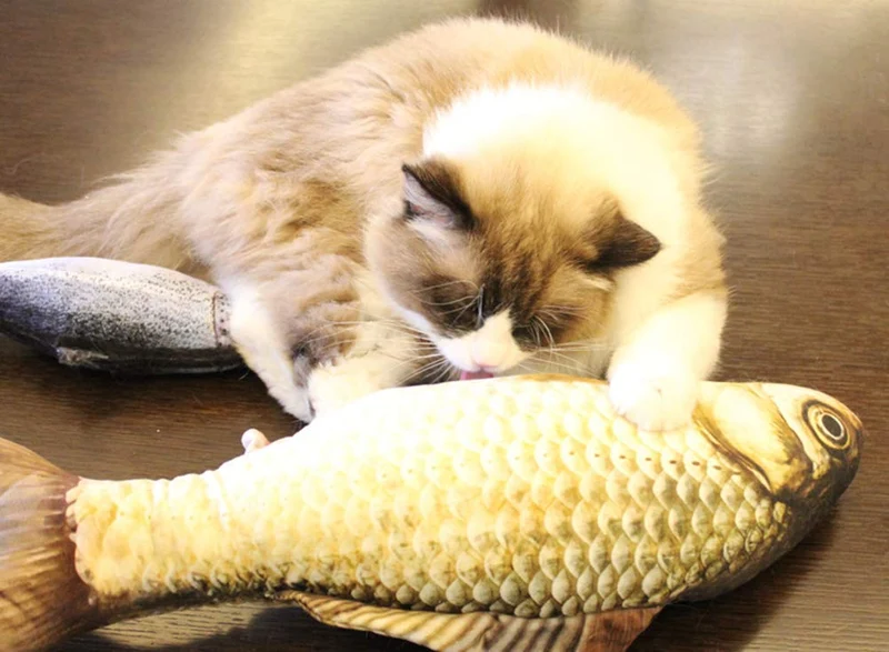 Yosbabe - Juguetes para gatos, para masticar dientes, para gatos, gatos, gatos, gatos, gatos, gatos, gatos, gatos, gatos, gatos, gatitos, hurones, conejos, 12 unidades