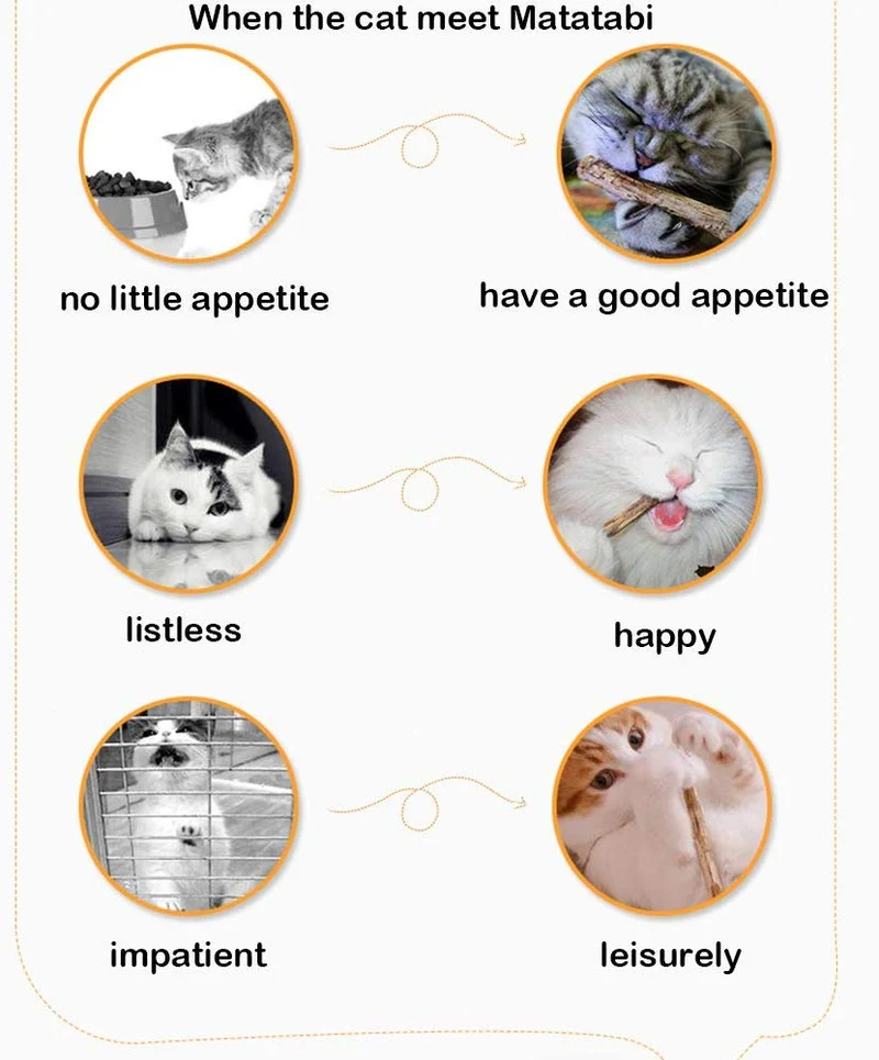 Yosbabe - Juguetes para gatos, para masticar dientes, para gatos, gatos, gatos, gatos, gatos, gatos, gatos, gatos, gatos, gatos, gatitos, hurones, conejos, 12 unidades