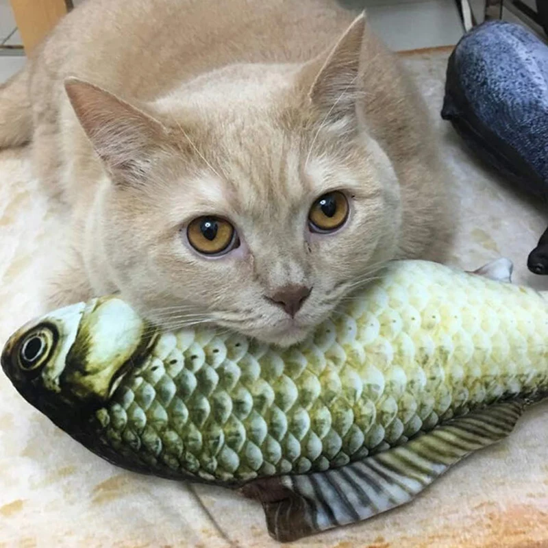 Yosbabe - Juguetes para gatos, para masticar dientes, para gatos, gatos, gatos, gatos, gatos, gatos, gatos, gatos, gatos, gatos, gatitos, hurones, conejos, 12 unidades