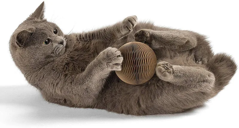 Rascador para gatos de juguete de bolas con zacate gatera silivervine – kittiwhack por twincritters