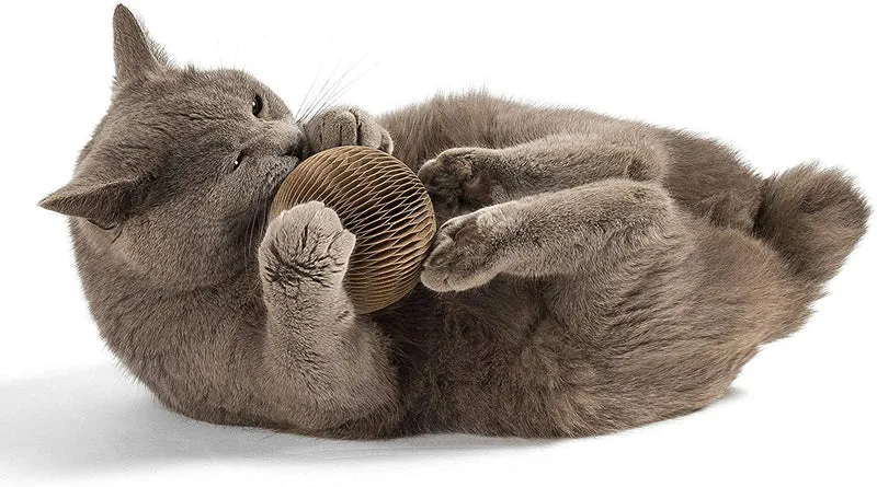 Rascador para gatos de juguete de bolas con zacate gatera silivervine – kittiwhack por twincritters