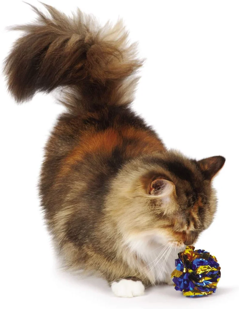Zanies gigante Mylar bolas Cat juguetes, 16-Piece Canisters