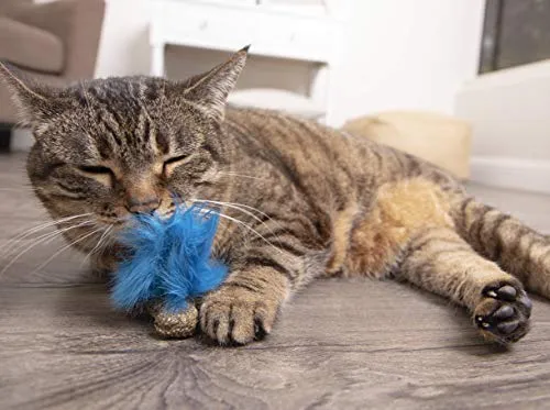 Petlinks - Juguete natural para gatos comprimidos