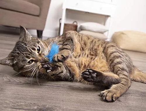 Petlinks - Juguete natural para gatos comprimidos