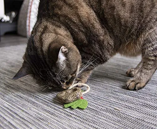 Petlinks - Juguete natural para gatos comprimidos