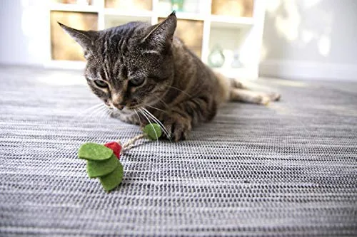 Petlinks - Juguete natural para gatos comprimidos