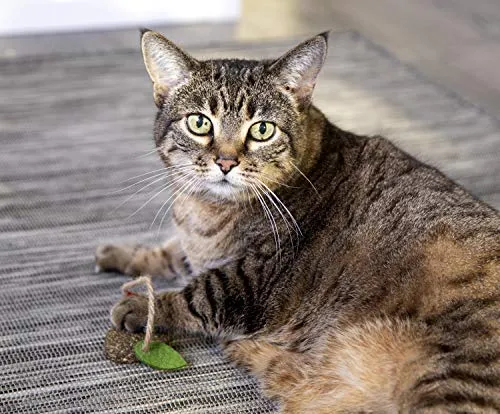 Petlinks - Juguete natural para gatos comprimidos