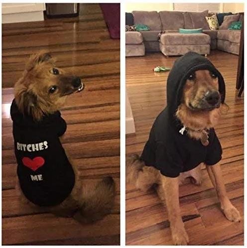 Sweater negro EXPAWLORER "BITCHES LOVE ME" con capucha forro polar para hombre, color negro