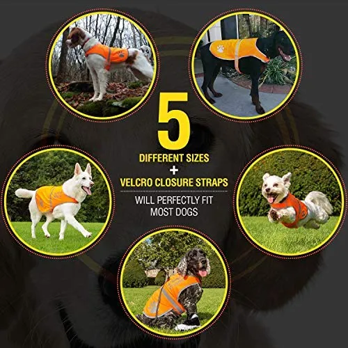 Chaleco reflectante de seguridad para perros, 5 tamaños para adaptarse a perros de 10 libras – 130 libras: alta visibilidad para actividades al aire libre día y noche, mantiene a tu perro visible, seguro de coches y accidentes de caza | Blaze Orange chale