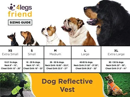 Chaleco reflectante de seguridad para perros, 5 tamaños para adaptarse a perros de 10 libras – 130 libras: alta visibilidad para actividades al aire libre día y noche, mantiene a tu perro visible, seguro de coches y accidentes de caza | Blaze Orange chale